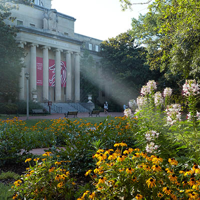 Sunbeams streaming through the columns of McKissick Museum.