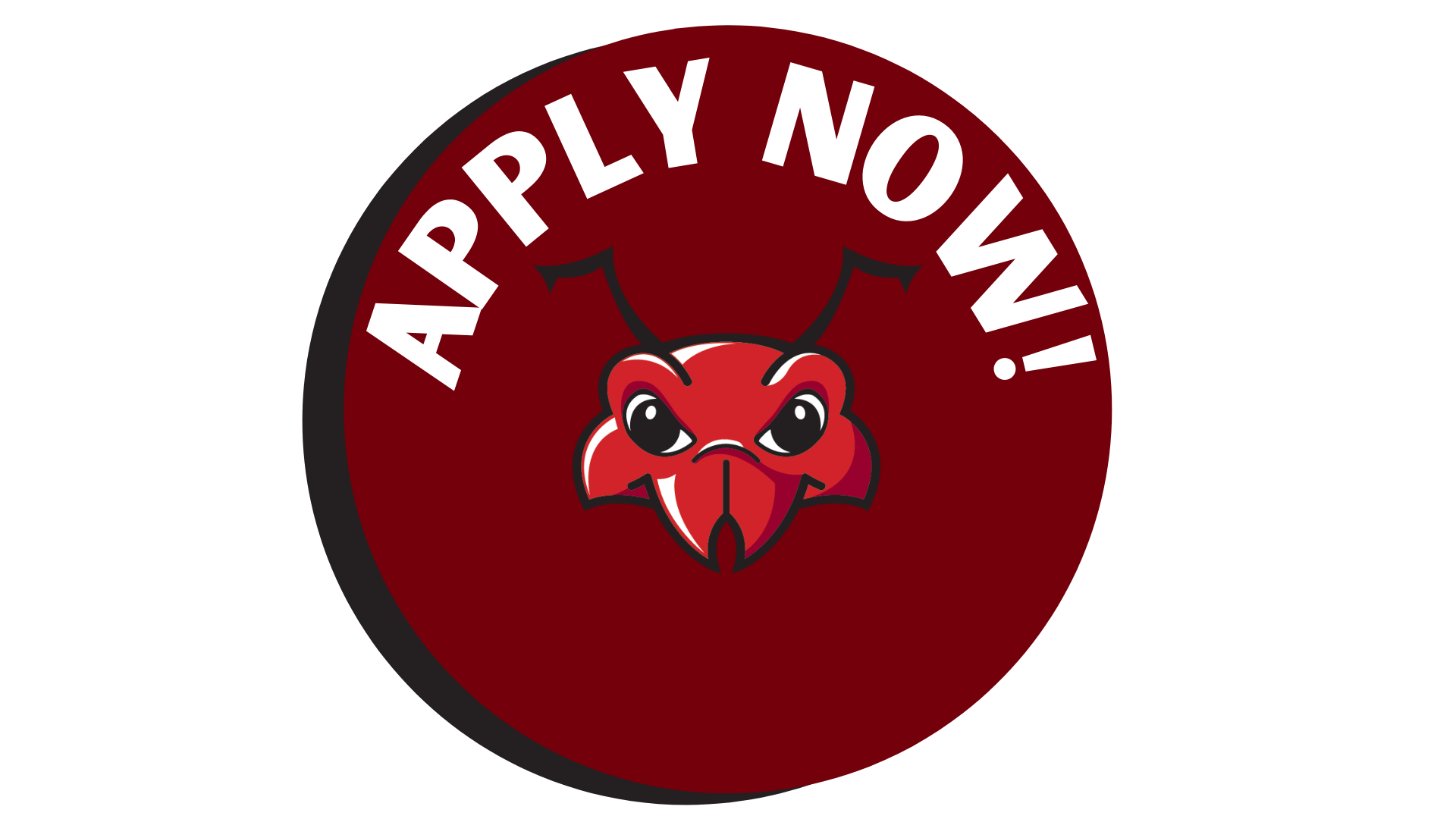 Apply now button