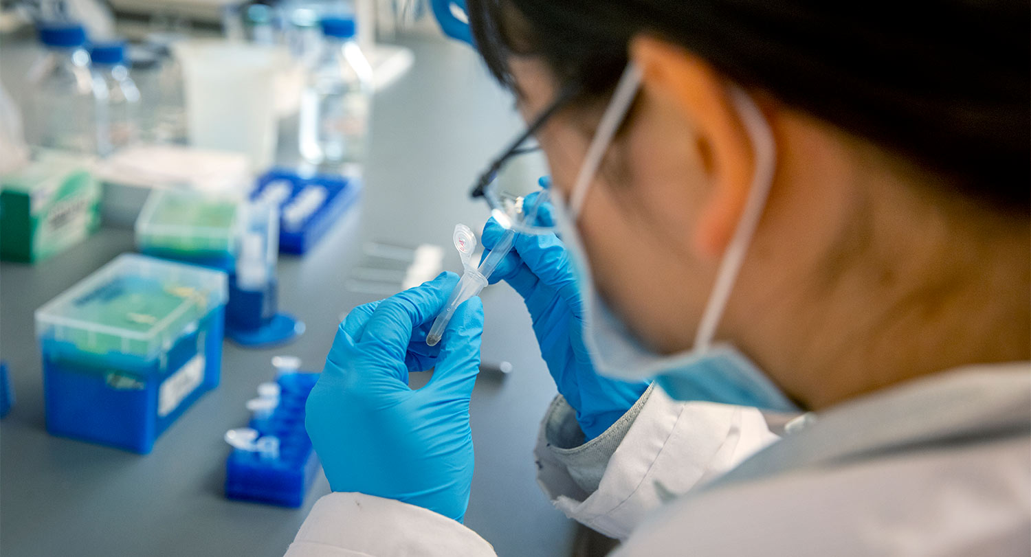 Looking over a researcher's shoulder pipetting into a small tube. 