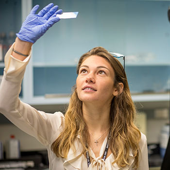 Researcher examines a microscope slide looking up towards the light.