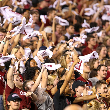 Fans at a football game waving towels and cheering. 