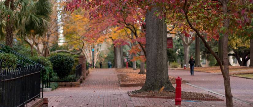 Brick sidewalk on campus. 