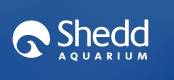 shedd logo