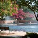 Bench overlooking a fountain.