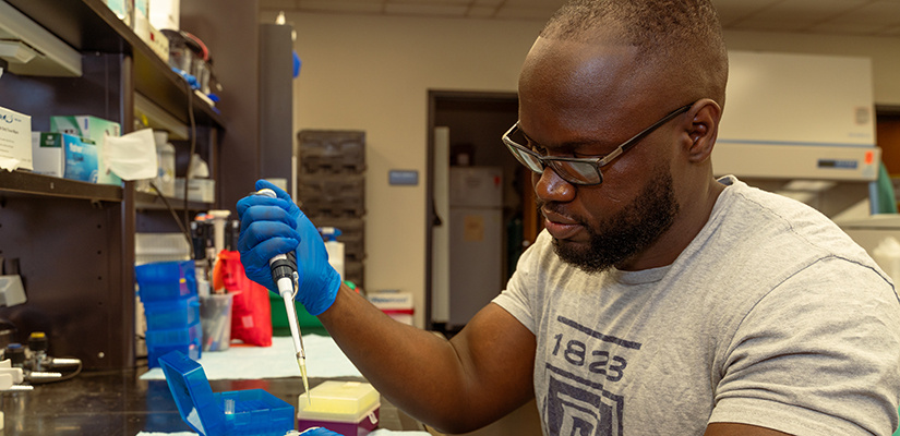 School of Medicine Greenville student preforming research in lab.