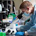 Student looking in microscope