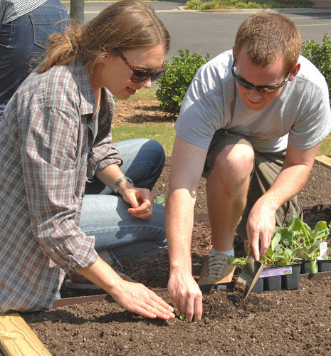 Student Garden Photo Gallery