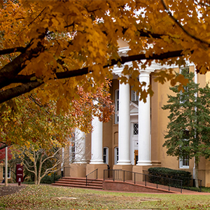 Fall colored leaves on trees on the USC campus. 