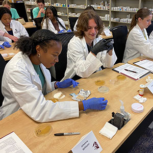 people working with Petri dishes 